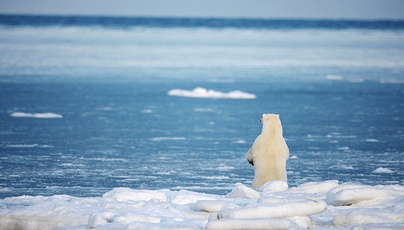 未來50年能源系統(tǒng)格局將大變，江蘇江河順應(yīng)時局，生態(tài)發(fā)展！