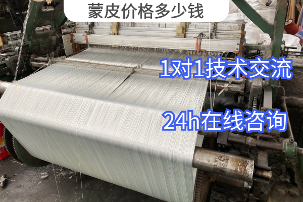 蒙皮價格多少錢